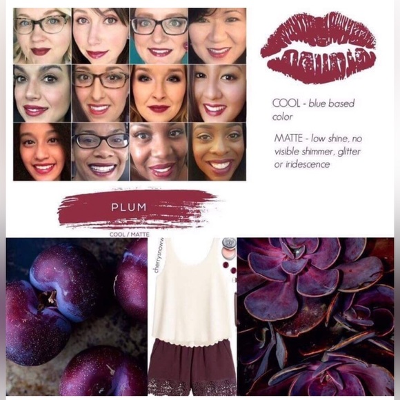 Lipsense by Senegence. Shade: Plum. NWT. - Picture 4 of 4